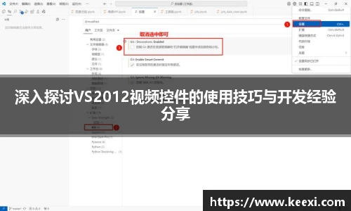 深入探讨VS2012视频控件的使用技巧与开发经验分享